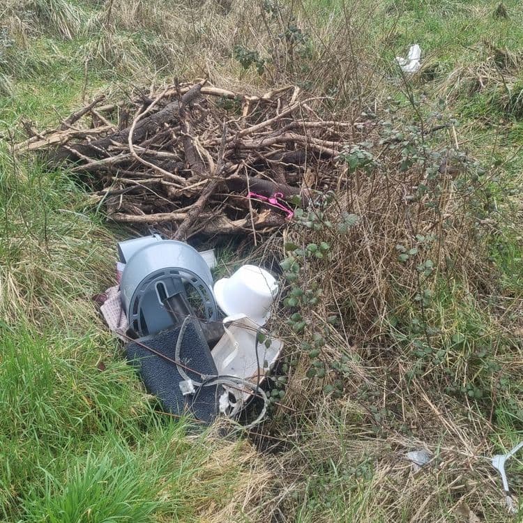 Déchets plastiques + déchets vert dans le fossé du chemin de l'Aubier