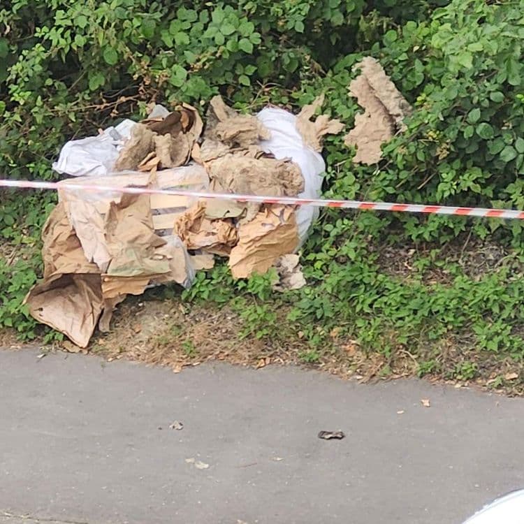 Dépôt sauvage en face du 8 rue du Pavé des Gardes 92370 Chaville 