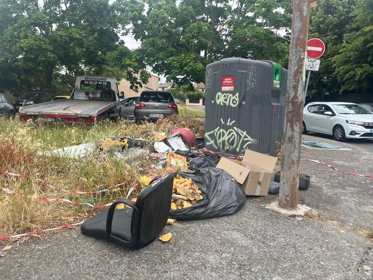 Nombreux déchets (pots de peinture, déchets verts, encombrants). Cet endroit est un peu de dépôt de déchets sauvages régulier.