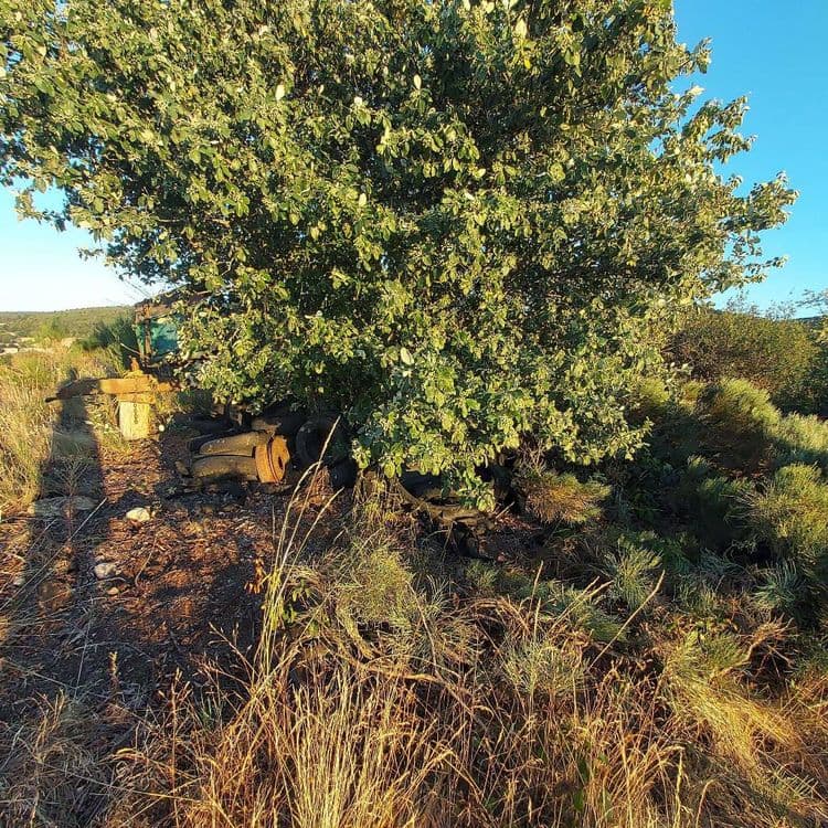 

*   Une remorque agricole abandonnée, composée de métal et de bois.
    *   Quantité : 1 unité
    *   Poids estimé : 500 kilogrammes

*   Des pneus usagés, principalement de véhicules légers ou utilitaires.
    *   Quantité : Environ 10 unités
    *   Poids estimé : 225 kilogrammes

*   Un amas de pièces de machinerie agricole ancienne, incluant des éléments métalliques rouillés, une grande roue en métal, des engrenages et des pièces de bois.
   