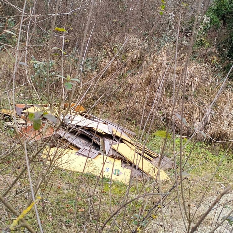 Planches abandonnées sur un terrain clôturé 