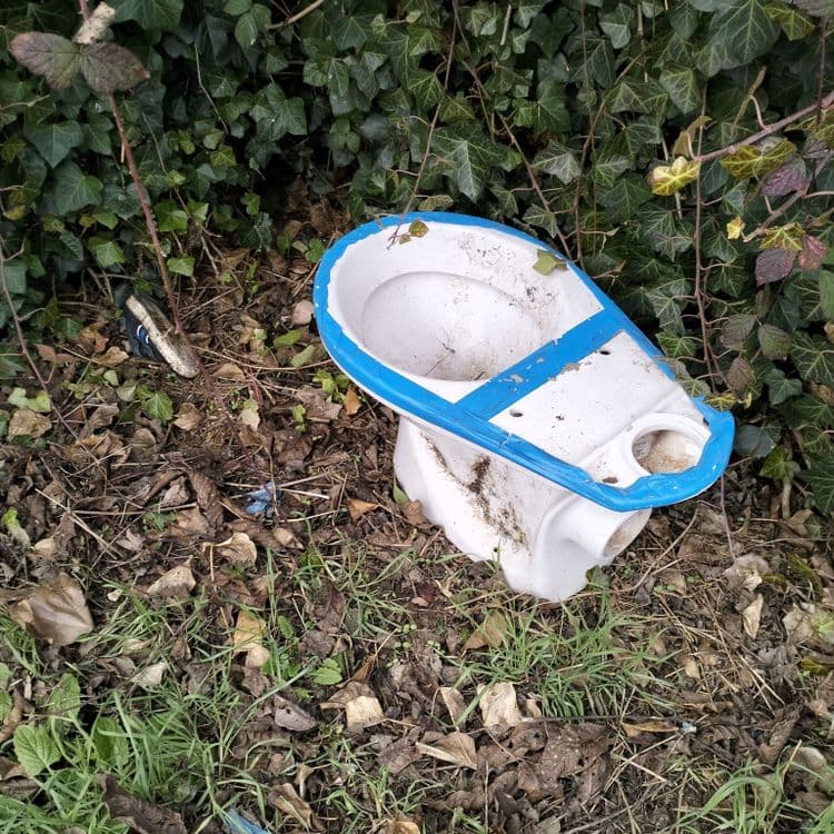 Cuvette de WC abandonnée à côté de jardins ouvriers 