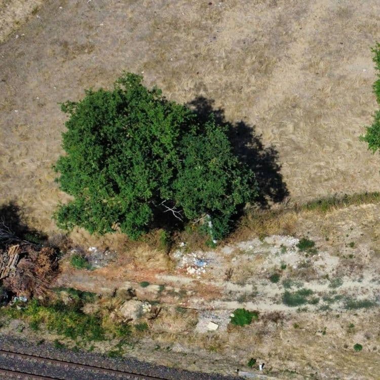 Déchets de palettes ainsi que divers déchets plastiques à cet endroit sous la terre se trouvent des déchets de tôles Fibro ciment qui contiennent de l'amiante. Ces déchets sont régulièrement recouverts de terre pour ne pas être apparents.