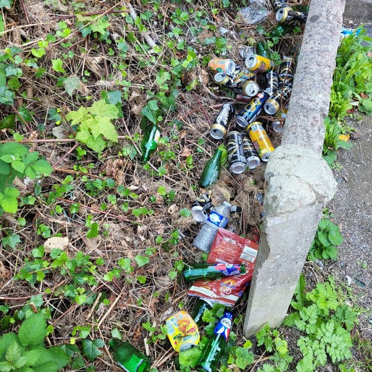 Canettes et bouteilles en verre long de la descente d'escalier des appartements rue des jardiniers
