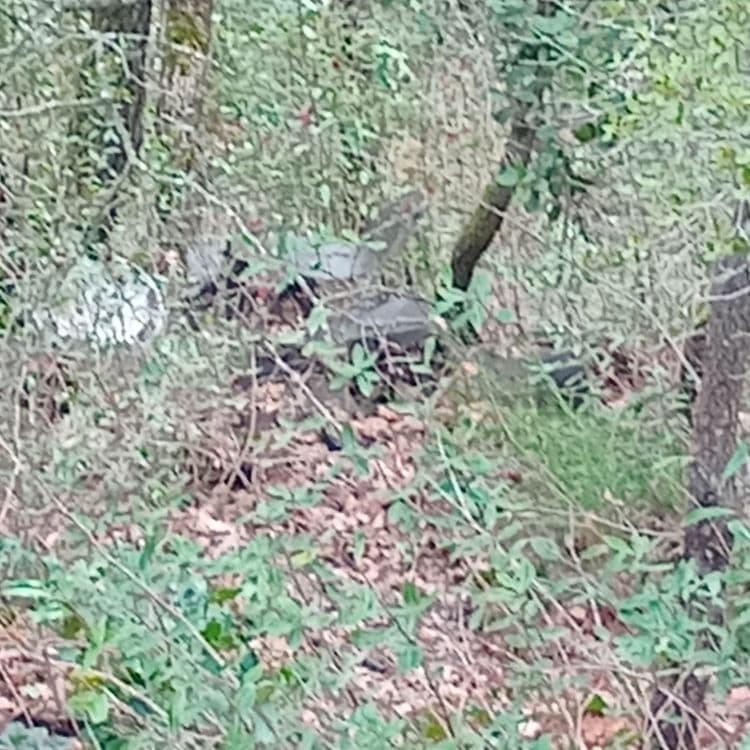 Enjoliveur, ferraille,  chaise à 30m de la route goudronnée 
