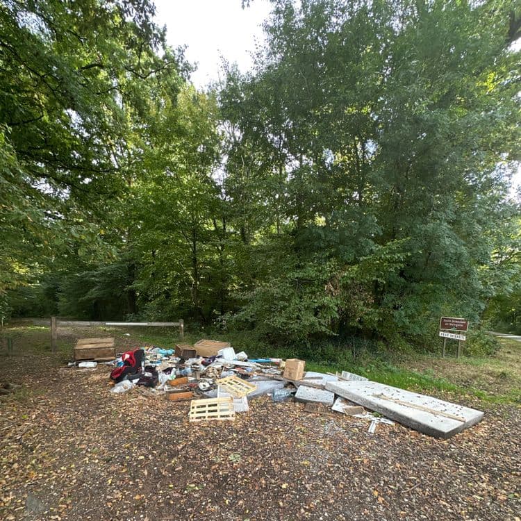 Voici une estimation des déchets présents sur le site :

*   **Déchets de construction et de démolition :** On observe des morceaux de béton (environ 50 kg), des gravats (environ 10 kg), et divers matériaux de construction comme des morceaux de bois traité (environ 5 kg).

*   **Mobilier et articles d'ameublement:** Une partie de matelas (environ 15 kg), des morceaux de palettes en bois (environ 8 kg), et divers objets de décoration (environ 2 kg).

*   **Déchets ménagers:** On note la présence de sacs plastiques et d'emballages divers (environ 3 kg), des bouteilles en plastique (environ 1 kg), et d'autres petits objets du quotidien (environ 2 kg).

*   **Équipements électroniques et électroménagers:** Sans éléments visuels précis, mais potentiellement présents en faible quantité (estimation de 1 kg).

*   **Autres déchets:** Un siège auto pour enfant (environ 5 kg), un carton (environ 1 kg) et d'autres objets non identifiables (environ 3 kg).

Cette estimation donne une vue d'ensemble des types de déchets présents et de leur poids approximatif pour une intervention de nettoyage efficace.

