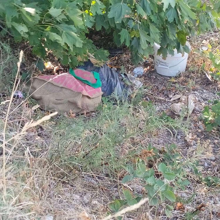 Déchets divers abandonnés sous un arbre à proximité d'un terrain en chantier 