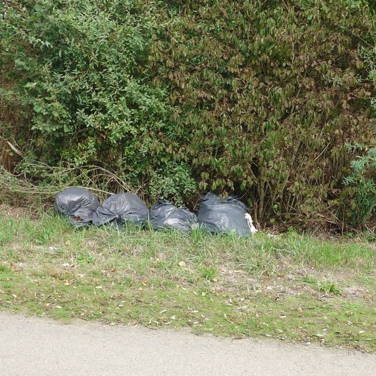 Sacs poubelles plein de déchets divers