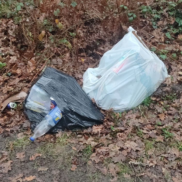 Deux sac poubelle ménagers au bord du chemin 