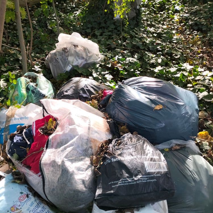 Plusieurs sacs poubelles dans un bois à proximité d'un canal et d'habitations
