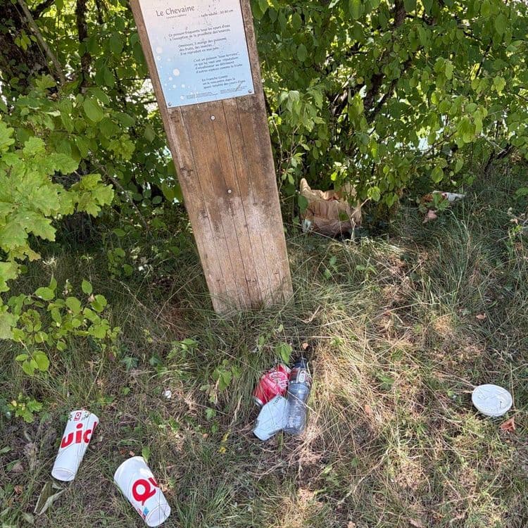 Détritus de repas Quick : sacs, gobelet, cannettes déposés juste au pied de la pancarte décrivant le poisson Chevaine.
Réellement affligeant comme constat
Merci pour vos actions 