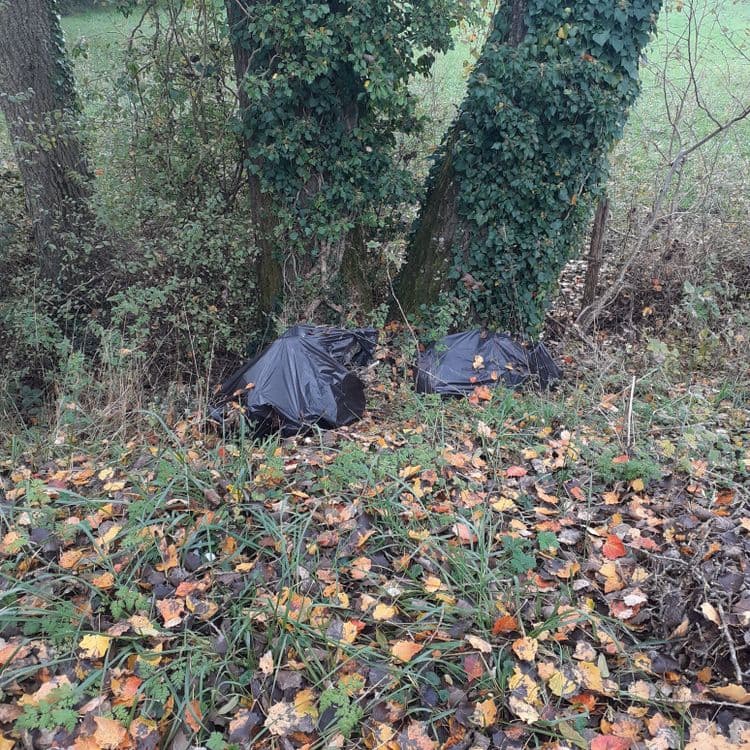 Boos dans sacs plastiques 