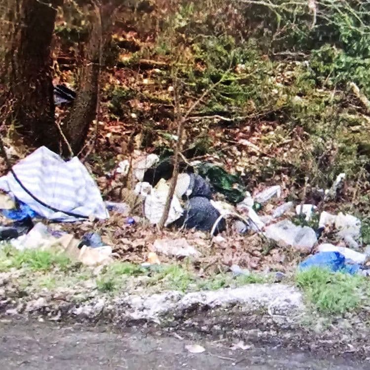 Déchets en tous genres, seaux, plastique bois, détritus...