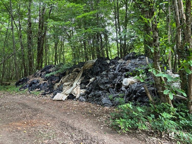 Montagne de bâches de plastique agricoles stockées sous les arbres jusqu’à ce qu’il se désagrège et pollue tout l’environnement 