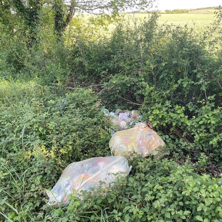 Ordures ménagères 