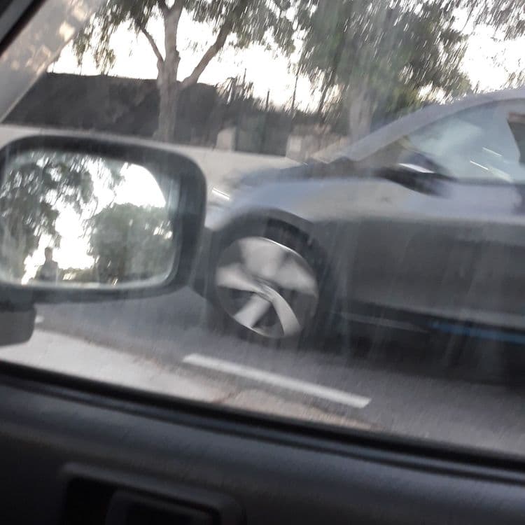A dead duck ( i think) on the side of the road which can be dangerous for drivers since its a very busy road (see the photo) (tal barrani near cassar petrol station)
