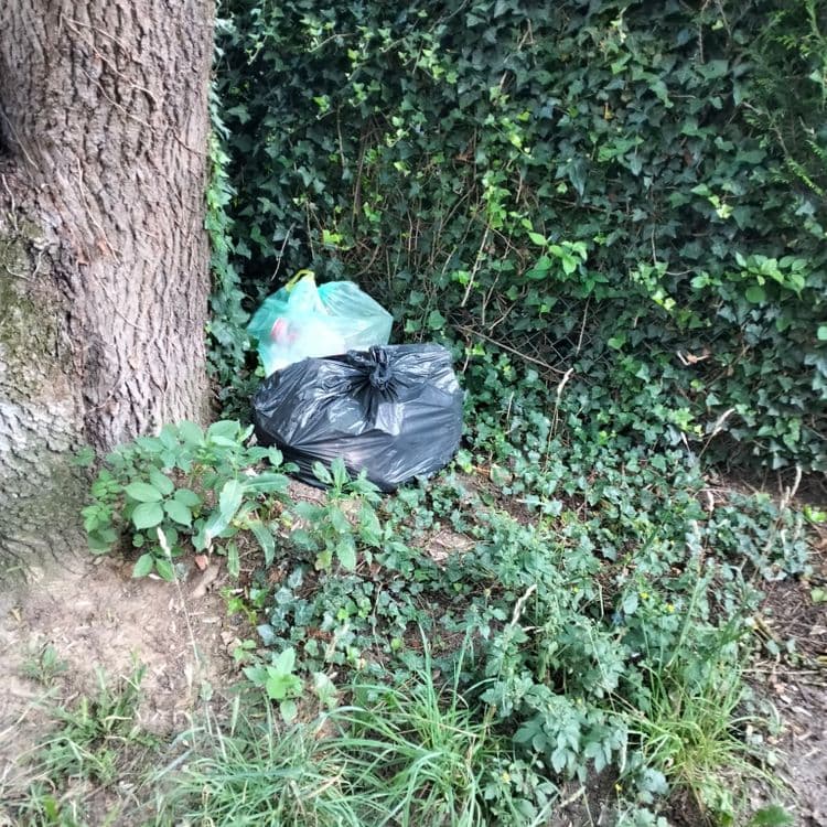 Sacs poubelles abandonnés au pied d'un arbre le long d'une piste cyclable 