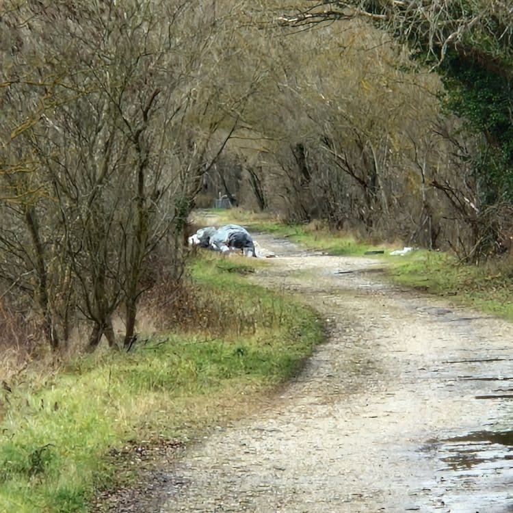 Gros dépôt de gravats et déchets sur zone natura 2000 !!!