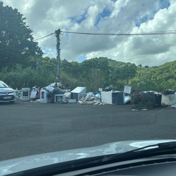 Voici l'analyse des déchets présents sur l'image :

Plusieurs types de déchets sont visibles, notamment des appareils électroménagers en grande quantité. On peut identifier des réfrigérateurs (environ 5 unités, estimées à 60 kg chacune), des machines à laver (environ 4 unités, estimées à 50 kg chacune), ainsi que divers autres appareils tels que des fours ou des cuisinières (environ 3 unités, estimées à 40 kg chacune).

On observe également des déchets verts, constitués de branches et de végétaux coupés (environ 100 kg). Des sacs poubelles noirs sont présents (environ 5 sacs, estimées à 10kg chacune), ainsi que des déchets divers et variés non identifiables précisément (environ 50 kg). 
