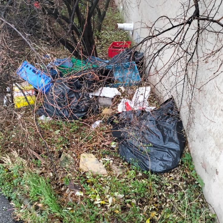 Déchets divers abandonnés dans des fourrées en zone industrielle 