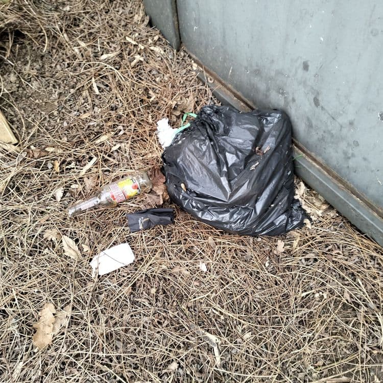 Déchets divers et panneaux de bois abandonnés dans un bois en zone d'activité 