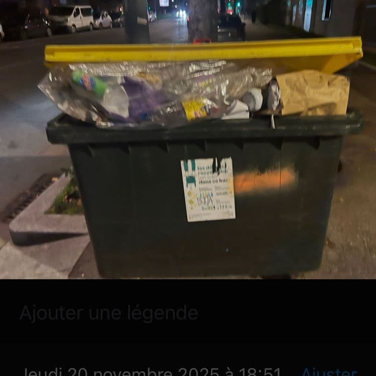 Des bacs poubelles sont laissés ouverts , pleins et en permanence jour et nuit et week-end 
Ces bacs sont sortis en dehors des heures de collectes et ne sont pas rentrés après collectes 
Ce qui génère des déchets au sol en permanence , malgré mes alertes faites à la mairie et maire  de Lyon 69008 , à la police municipale et la Métropole de Lyon ( courriers AR et mails et sur place 

Les riverains sont exedées , cela fait un momment que ça dure ?

Ces bacs poubelles n’ont rien à faire en dehors des heures de collectes 
Les déchets au sol non plus !

Merci de faire cesser rapidement , ce n’est pas un cadre de vie acceptable , il y a du passage , des enfants !

