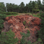 déchets verts, risque d'incendie et de contamination par des espèces non endémiques.


Voici une estimation des déchets présents sur le site :

*   Déchets verts (branches, feuilles mortes, broussailles) : Environ 800 kg, représentant un volume important de plusieurs mètres cubes.

*   Terre et résidus de terre : Environ 200 kg.