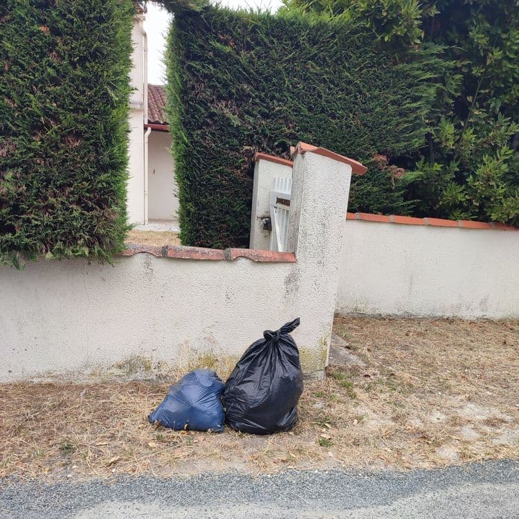 Voici une estimation des déchets présents sur l'image :
On observe deux sacs poubelles. L'un est de couleur noire, et l'autre bleu.
* **Sacs poubelles**:
* Type : Indéterminé (déchets ménagers, déchets verts, etc.).
* Quantité : 2 sacs
* Estimation du poids : Le sac noir pourrait peser environ 8 kg, et le sac bleu environ 5 kg, en se basant sur une taille et un remplissage standard.