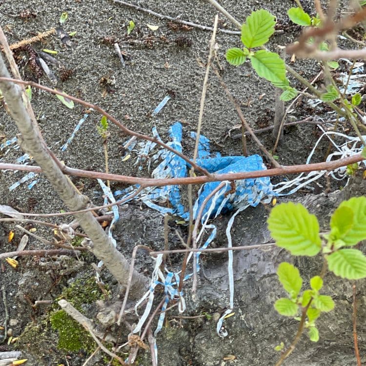 Voici une estimation des déchets présents sur l'image :
On observe des fragments de plastique bleu et blanc, probablement issus d'un emballage ou d'un sac déchiré. La quantité est estimée à environ 0,05 kg.
Il y a également divers débris végétaux tels que des brindilles et des feuilles mortes éparses. Le poids de ces déchets végétaux est estimé à environ 0,1 kg.