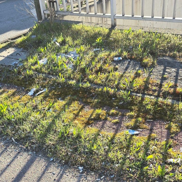 Detritus en tout genre