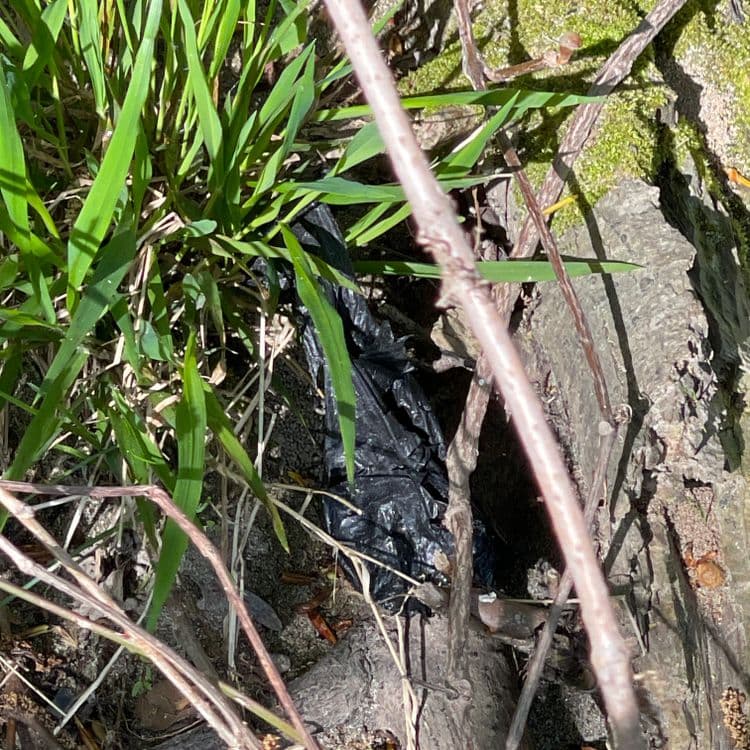 Voici une analyse des déchets présents sur l'image :
* **Sac en plastique noir :** Il y a un sac en plastique noir visible. En fonction de sa taille et de son épaisseur, son poids est estimé à environ 0,05 kg. Il y en a 1.