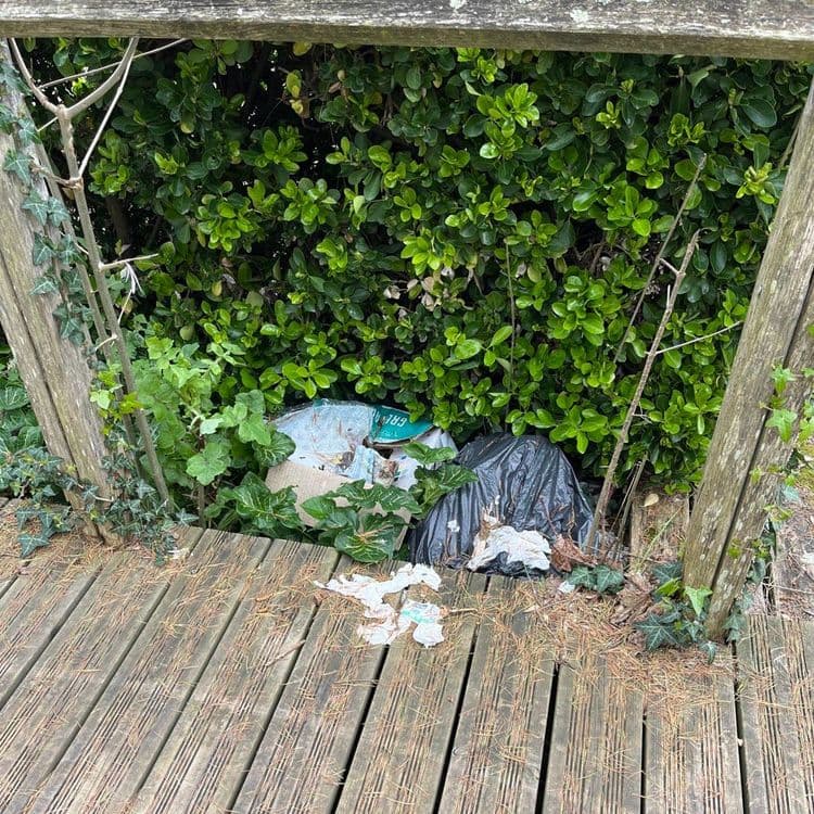 Analyse des déchets présents sur l'image :
On observe une variété de déchets comprenant :
* Un sac poubelle noir : Estimation du poids entre 5 et 10 kg. Quantité : 1.
* Des papiers et cartons épars : Estimation du poids total : environ 1 kg. Quantité : Multiple.
* Une boîte en carton : Estimation du poids : environ 0,5 kg. Quantité : 1.
* Divers détritus non identifiables (enveloppes, plastiques, etc.) : Estimation du poids total : environ 0,5 kg. Quantité : Multiple.