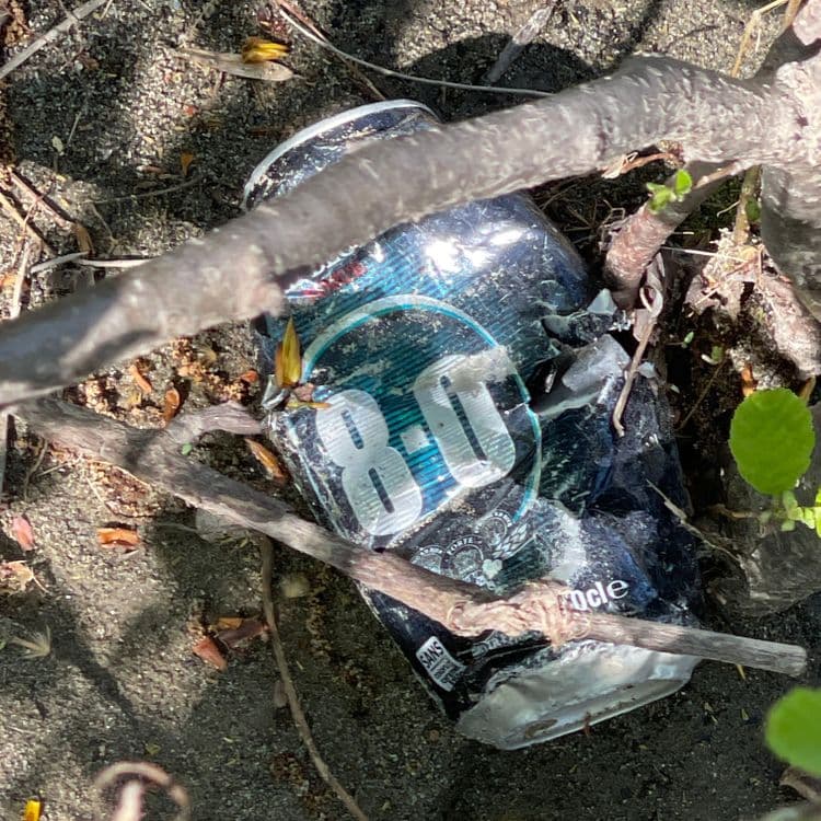 Voici une estimation des déchets présents sur l'image :
* Une canette de boisson : Il s'agit probablement d'une canette de bière de type « 8.6 ». Le poids estimé est d'environ 0,015 kg. La quantité est de 1.