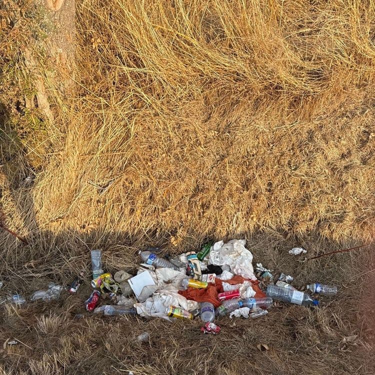 Les déchets abandonnés sur le site comprennent :
Des bouteilles en plastique, estimées à environ 25 unités, pour un poids total d'environ 0,7 kilogramme.
Des canettes en aluminium, avec une quantité d'environ 10 unités, représentant un poids d'environ 0,2 kilogramme.
Des bouteilles en verre, au nombre de 4 unités, pour un poids estimé à 1,2 kilogramme.
Des déchets textiles, composés d'environ 6 pièces de tissus divers, pesant approximativement 1 kilogramme.
Des éléments en carton et papier, soit 3 à 4 petits morceaux, pour un poids d'environ 0,2 kilogramme.
Enfin, une petite quantité de déchets mélangés, incluant de petits emballages et des plastiques divers, dont le poids est estimé à 0,3 kilogramme.