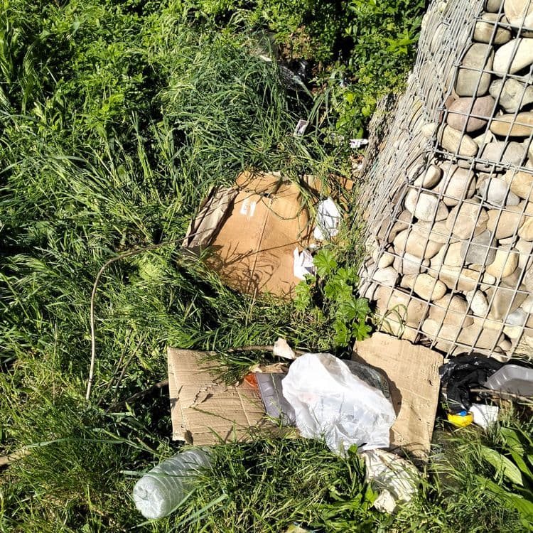 Déchets divers abandonnés sous un pont entre la France et l'Allemagne