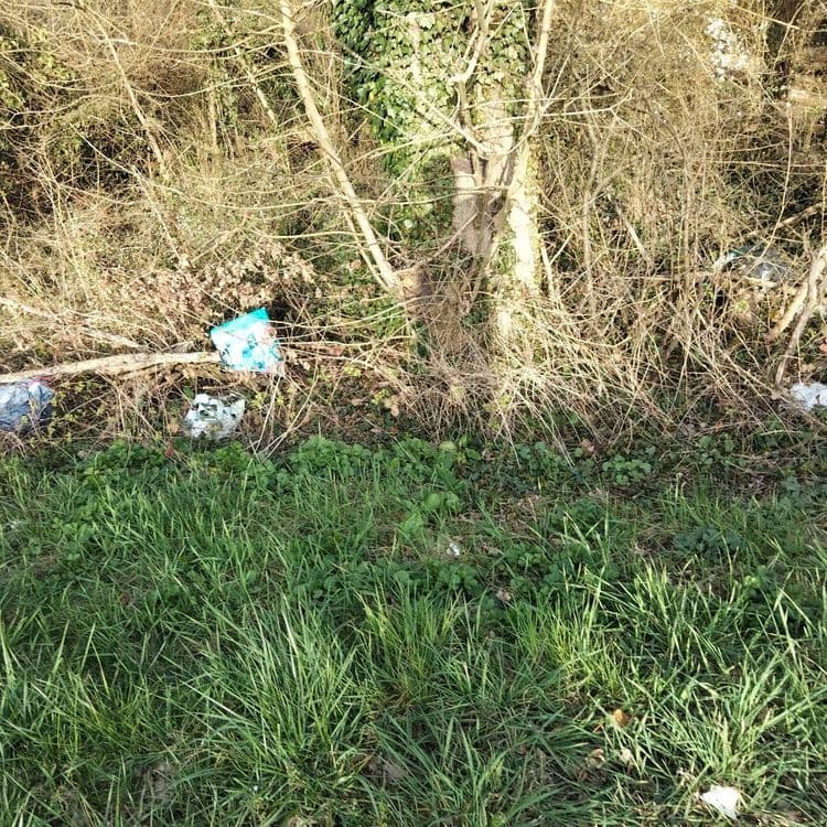 Voici une estimation des déchets présents sur l'image:
On observe principalement des sacs en plastique, dont un bleu. L'estimation de leur poids total se situe entre 0,5 et 1 kg, en considérant qu'ils soient vides ou contiennent des déchets légers. La quantité visible est d'environ 3 sacs.
Il y a également des déchets blancs non identifiés, possiblement des papiers, emballages ou autres plastiques. Leur poids combiné est estimé entre 0,2 et 0,5 kg, avec une quantité éparpillée visible d'environ 3-4 éléments.