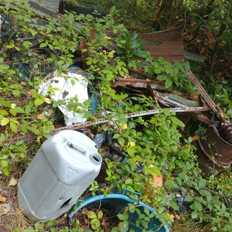 Décharge sauvage en bord de chemin.