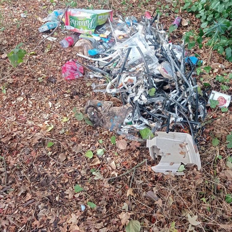 Les déchets abandonnés sur le site se composent des éléments suivants :
- **Câbles électriques et gaines en plastique** : Un amas important de tronçons de câbles et de gaines, de différentes longueurs.
- Quantité estimée : Environ 50 à 70 tronçons, représentant plusieurs dizaines de mètres linéaires.
- Poids estimé : 15 kilogrammes.
- **Bouteilles et flacons en plastique (PET/HDPE)** : Principalement des bouteilles de boissons.
- Quantité estimée : Environ 10 unités.
- Poids estimé : 0,5 kilogramme.
- **Canettes en aluminium** : Canettes de boissons.
- Quantité estimée : Environ 5 unités.
- Poids estimé : 0,1 kilogramme.
- **Emballages en carton** : Une grande boîte de boisson et quelques petits emballages.
- Quantité estimée : 1 grande boîte et 2 à 3 petits emballages.
- Poids estimé : 0,3 kilogramme.
- **Sacs et films plastiques** : Sacs de courses et divers films d'emballage.
- Quantité estimée : Environ 5 pièces.
- Poids estimé : 0,1 kilogramme.
- **Débris de plastique rigide/polystyrène** : Un morceau cassé d'un objet en plastique ou polystyrène.
- Quantité estimée : 1 pièce.
- Poids estimé : 0,8 kilogramme.
- **Textiles** : Un morceau de tissu ou de vêtement.
- Quantité estimée : 1 pièce.
- Poids estimé : 0,5 kilogramme.
- **Petits déchets divers** : Petits emballages, papiers, et autres débris non identifiables précisément, mélangés à la végétation.
- Quantité estimée : Une petite quantité dispersée.
- Poids estimé : 0,2 kilogramme.