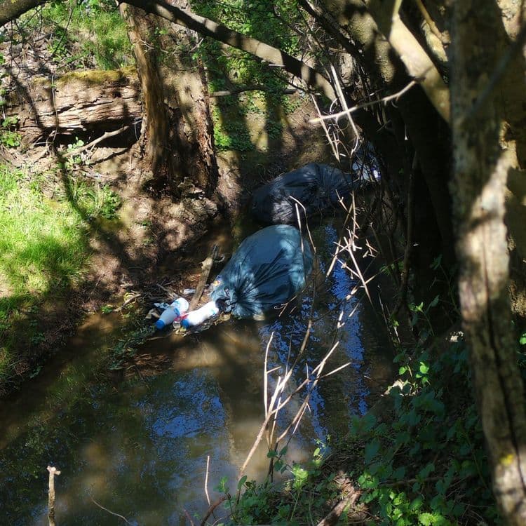 5 sacs poubelles 100L de déchets ménager jettés dans l'Avanon (ruisseau se jettant dans la Saône). Certains sacs sont éventrés et les déchets se déversent dans le ruisseau !