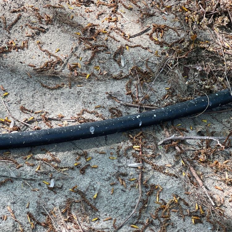 Suite à l'analyse de l'image, les déchets suivants ont été identifiés :
* **Tuyau en plastique noir :** Un tuyau en plastique noir est présent. Son poids est estimé à environ 1 kg. Il s'agit d'un seul élément.