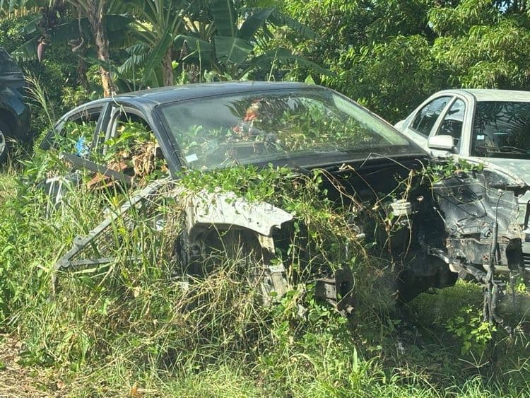 Voici une estimation des déchets présents sur la photo, ainsi que leur poids et quantité :
* **Véhicules hors d'usage (VHU) :** On observe deux carcasses de voitures. La première est fortement endommagée et envahie par la végétation. La seconde est plus complète. Poids estimé : 1200 kg par véhicule, soit 2400 kg au total. Quantité : 2 véhicules.
* **Débris automobiles :** Divers éléments de carrosserie, pare-chocs, et pièces mécaniques sont dispersés autour des véhicules. Poids estimé : 50 kg. Quantité : Environ 10 pièces.
* **Végétation coupée :** Des branchages et herbes coupées sont présents, indiquant des opérations de débroussaillage récentes ou anciennes. Poids estimé : 20 kg. Quantité : Un petit tas.
* **Divers :** Présence de petits déchets non identifiés (plastiques, papiers, etc.) mêlés à la végétation. Poids estimé : 5 kg. Quantité : Éparpillés.