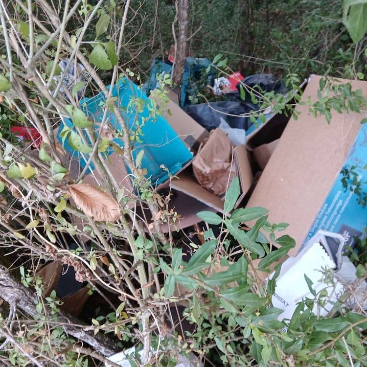Dépôt sauvage réalisé cette nuit. Canette, boîtes outillages neuves ou presque, cartons, sacs plastique..